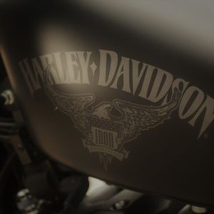 Meet your Posher, Wayne